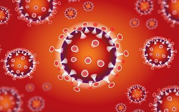 О противодействии распространению новой коронавирусной инфекции (COVID-19)