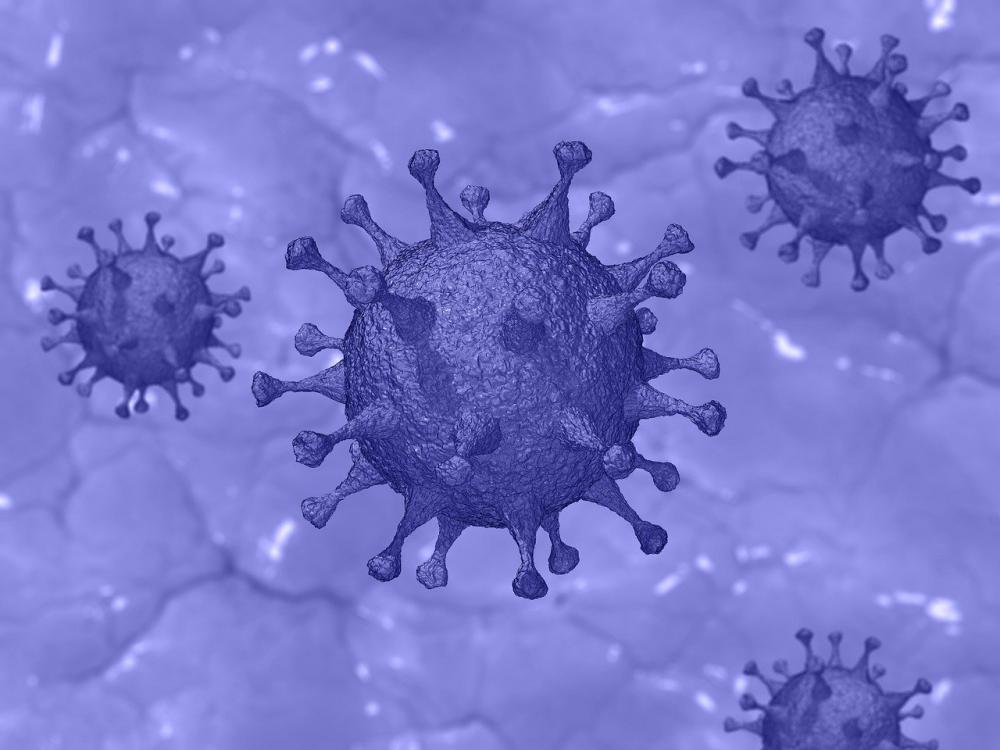 Иммунитет помогает коронавирусу заражать клетки