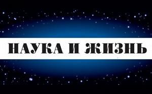 В иммунных клетках нашли белки-химеры