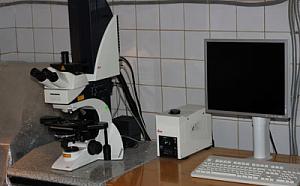 Laser scanning confocal microscope TCS SPE (Leica Microsystems, Germany)