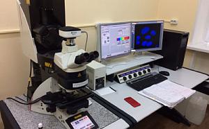 Laser scanning confocal microscope Leica TCS SP5 (Leica Microsystems, Germany)