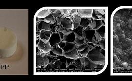 Образцы материалов на основе желатина, мезопористого силикагеля, гидроксиапатита и полипиррола (+PP). Изображение поверхности материала, полученное с помощью сканирующей электронной микроскопии (SEM). Фотография предоставлена Юрием Шаталиным.