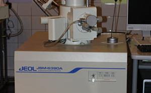 Scanning electron microscope-microanalyzer JSM 6390A (Jeol, Japan)
